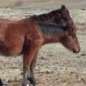 Meet your Posher, Chloe